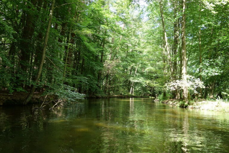 Der wunderschöne, Natur überlassene Fluss Rhin in seiner ganzen Pracht. Kajak-Tagestour Auf dem Rhin von Rheinsberg über Rheinshagen nach Zippelsförde Samstag nur vom 15. Juni - 31. Oktober befahrbar