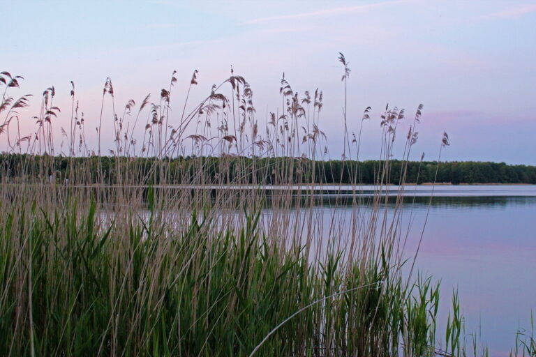 Eine Reise durch den Müritz-Nationalpark – Paddelwanderung über fünfzehn Seen in fünf Tagen. Wesenberg, Woblitzsee, Ahrensberg am Drewensee, Drewensee, Wangnitzsee, Kleiner Priepertsee, Großer Priepertsee, Priepert, Müritz-Havel-Wasserstraße, Strasen, Schleuse Strasen, Große Flake, Großer Palitzsee, Kleiner Palitzsee, Canower See, Canow, Schleuse Canow, Labussee, Großer Peetschsee, Vilzsee, Fleeth, Fleether Mühle, Fleether Wehr, Rätzsee, Gobenowsee, Neu Canow, Kienzsee, Wustrow, Plätlinsee, Naturschutzgebiet Nordufer Plätlinsee, NSG, Schwaanhavel, Havel, Quellgebiet Havel, Kajakwandern, paddeln, Erholung am Wasser, See und Flüsse.