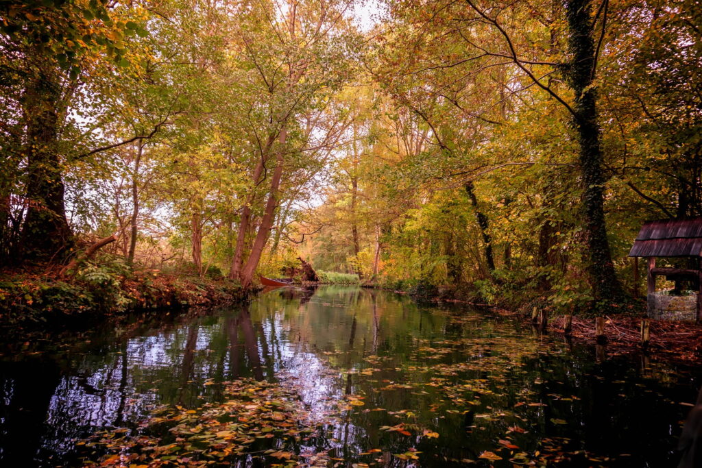 Der Spreewald im wunderschönen Herbstkleid.